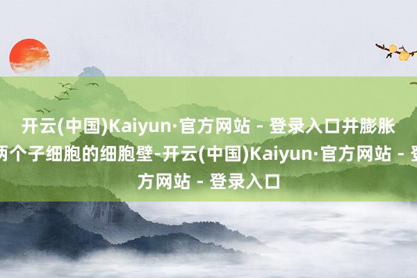 开云(中国)Kaiyun·官方网站 - 登录入口并膨胀要素隔两个子细胞的细胞壁-开云(中国)Kaiyun·官方网站 - 登录入口