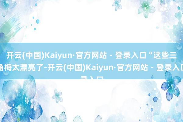 开云(中国)Kaiyun·官方网站 - 登录入口“这些三角梅太漂亮了-开云(中国)Kaiyun·官方网站 - 登录入口