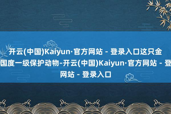 开云(中国)Kaiyun·官方网站 - 登录入口这只金丝猴是国度一级保护动物-开云(中国)Kaiyun·官方网站 - 登录入口