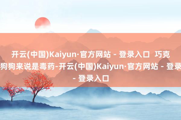 开云(中国)Kaiyun·官方网站 - 登录入口  巧克力对狗狗来说是毒药-开云(中国)Kaiyun·官方网站 - 登录入口