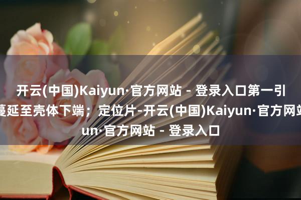 开云(中国)Kaiyun·官方网站 - 登录入口第一引脚穿过壳体蔓延至壳体下端；定位片-开云(中国)Kaiyun·官方网站 - 登录入口
