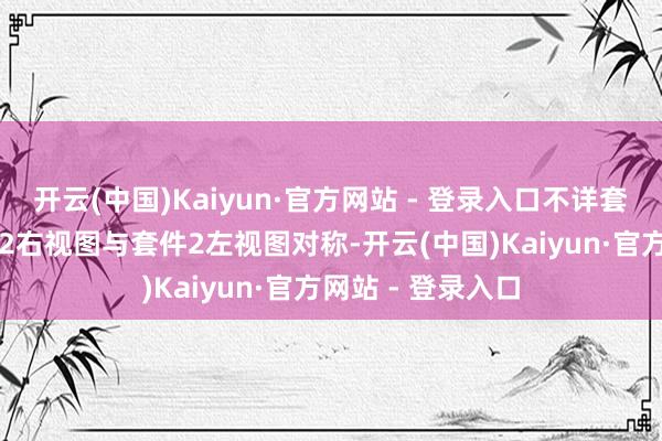 开云(中国)Kaiyun·官方网站 - 登录入口不详套件1仰视图;套件2右视图与套件2左视图对称-开云(中国)Kaiyun·官方网站 - 登录入口