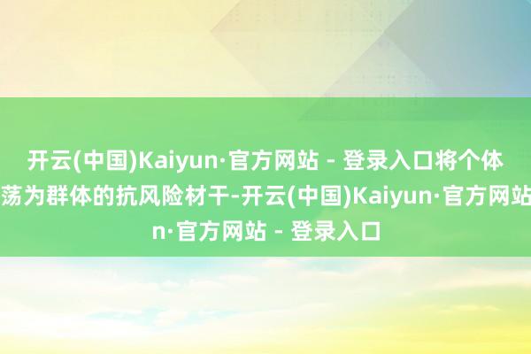 开云(中国)Kaiyun·官方网站 - 登录入口将个体的脆弱性回荡为群体的抗风险材干-开云(中国)Kaiyun·官方网站 - 登录入口