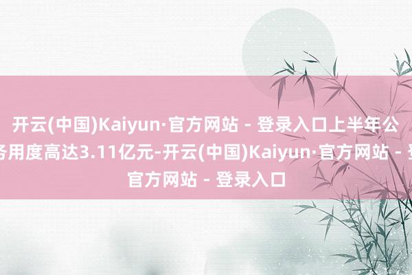 开云(中国)Kaiyun·官方网站 - 登录入口上半年公司的财务用度高达3.11亿元-开云(中国)Kaiyun·官方网站 - 登录入口